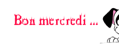 Gif animé Bon mercredi chien